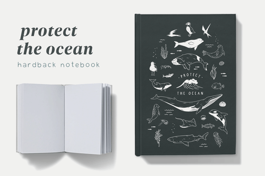 Hardback notebook titled 'Protect the Ocean' with a navy cover featuring intricate white illustrations of marine life including whales, dolphins, sharks, and seabirds, emphasizing ocean conservation and appealing to marine biologists and wildlife enthusiasts.