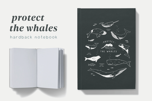 Hardback notebook titled 'Protect the Whales' with a navy cover featuring detailed white illustrations of various whales and other marine animals, aimed at inspiring ocean conservation and appealing to wildlife enthusiasts and marine biologists
