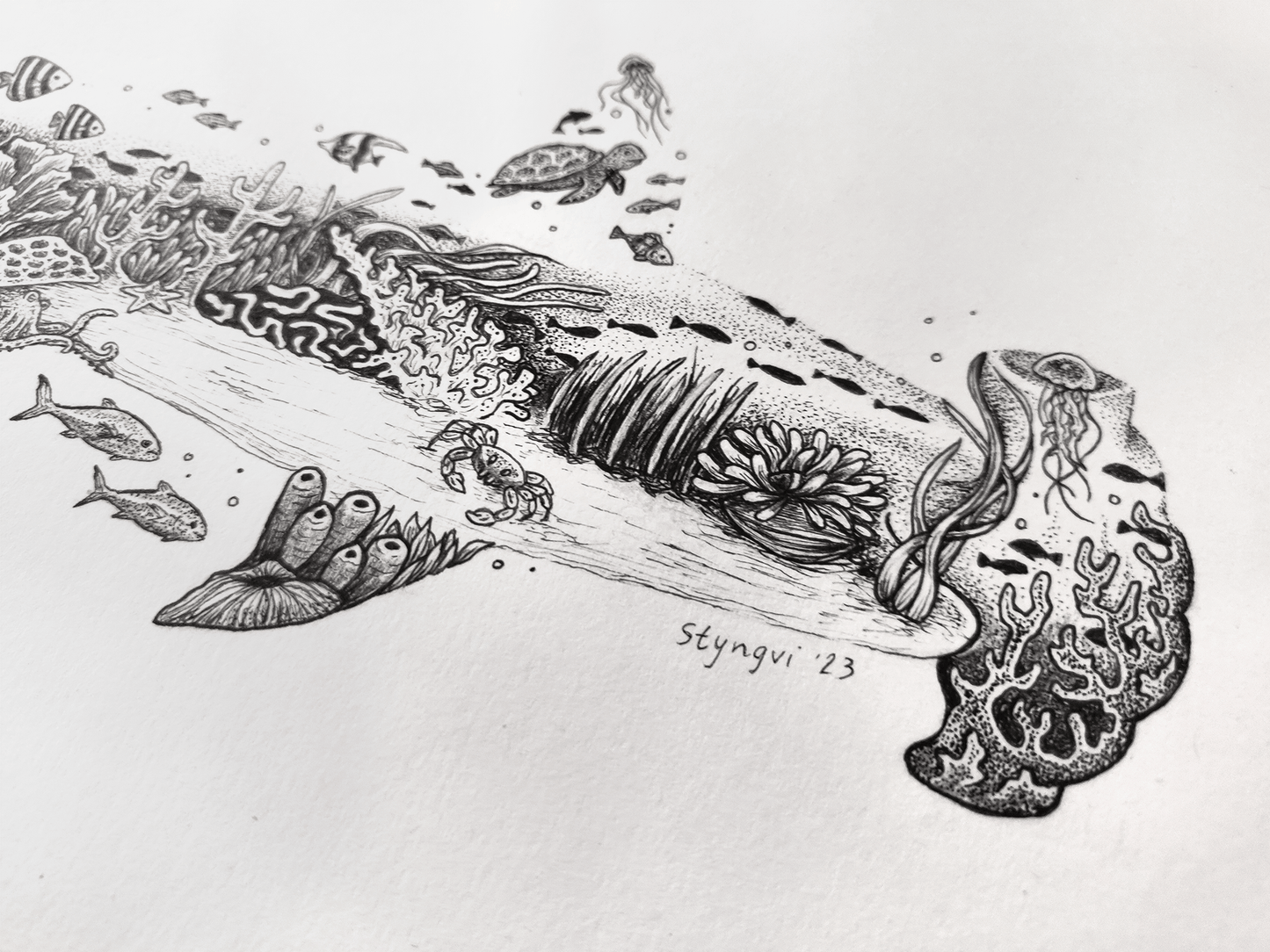 Styngvi A4 Print Coral Hammerhead - Limited edition A4 print