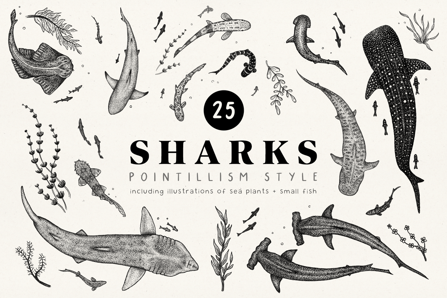 Styngvi The Styngvi Sharks Bundle