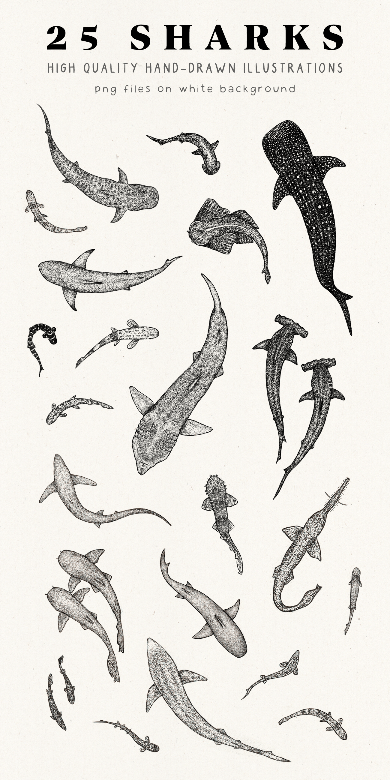 Styngvi The Styngvi Sharks Bundle