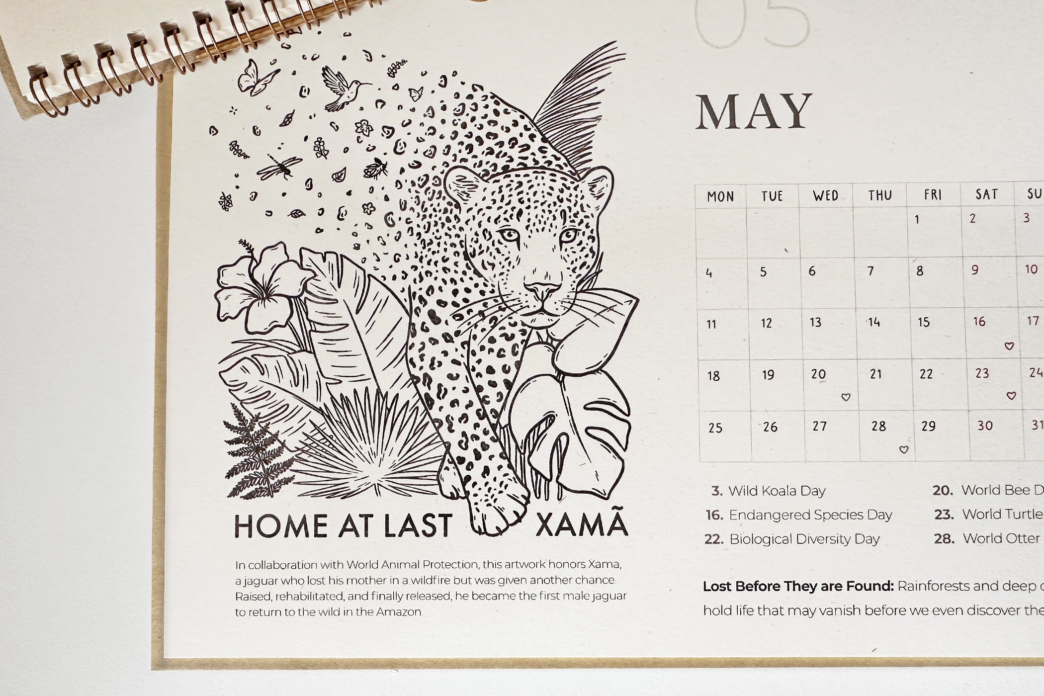 2026 Nature Conservation Calendar