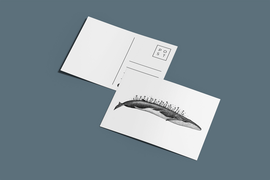 Fin Whale Tribute - A6 Postcard