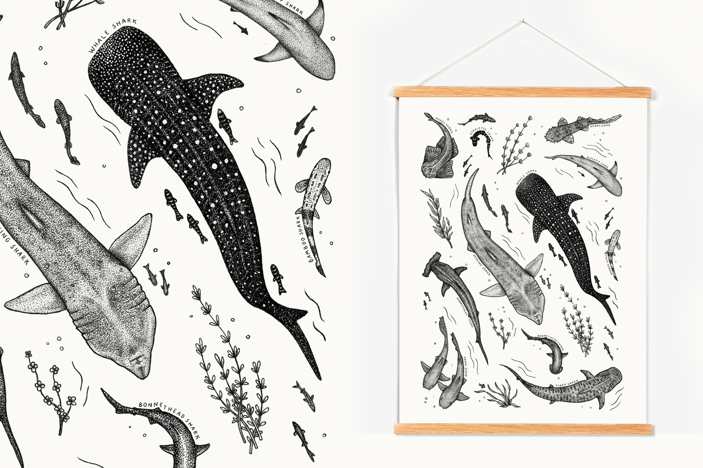 Styngvi A4 Print Celebratory Shark Print - Limited edition A4 print