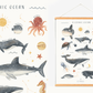 Prodigi Fine art Cosmic Ocean Fine Art Print