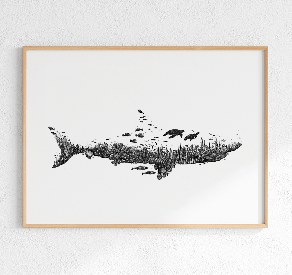 Styngvi A4 Print Coral Shark - Limited edition A4 print